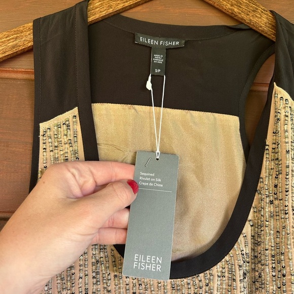 NWT EILEEN FISHER Sequined Rivulet on Silk Crepe deChine ROSEWATER Dress S - Picture 6 of 7